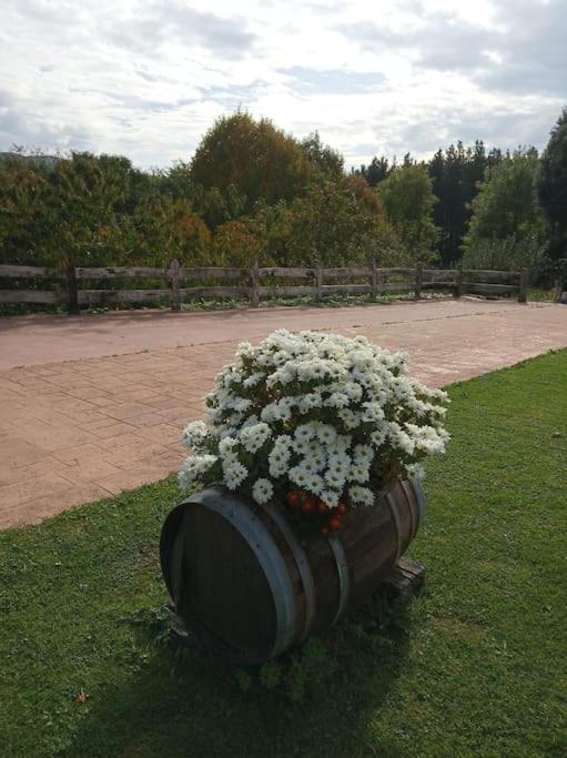 Caserio Vasco Con Piscina Y Barbacoa Orozko Luaran gambar